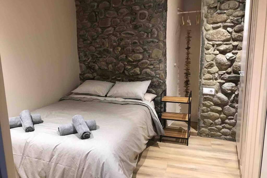 Puigcerda Centro. Acogedor Apartament En El Pueblo 外观 照片
