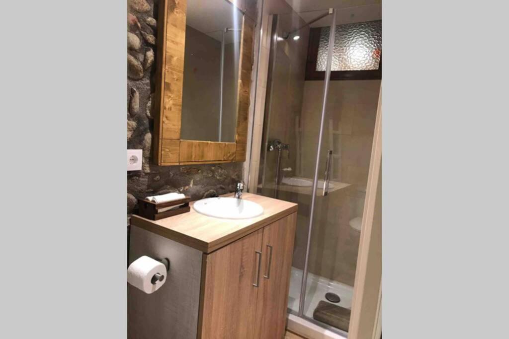 Puigcerda Centro. Acogedor Apartament En El Pueblo 外观 照片
